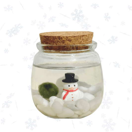 Christmas Holiday Moss Ball with Snowman - The Plant Lady SF