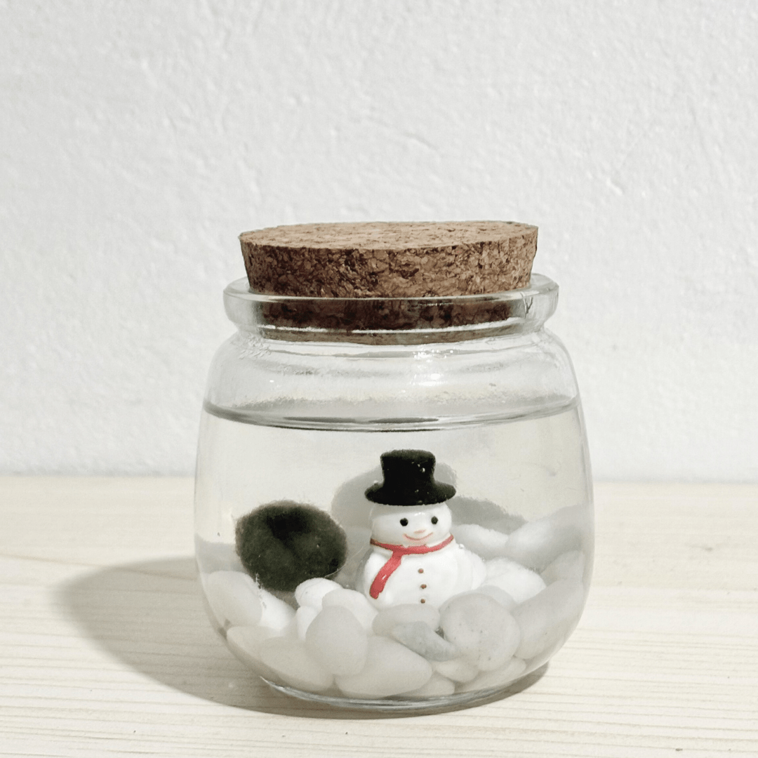 Christmas Holiday Moss Ball with Snowman - The Plant Lady SF