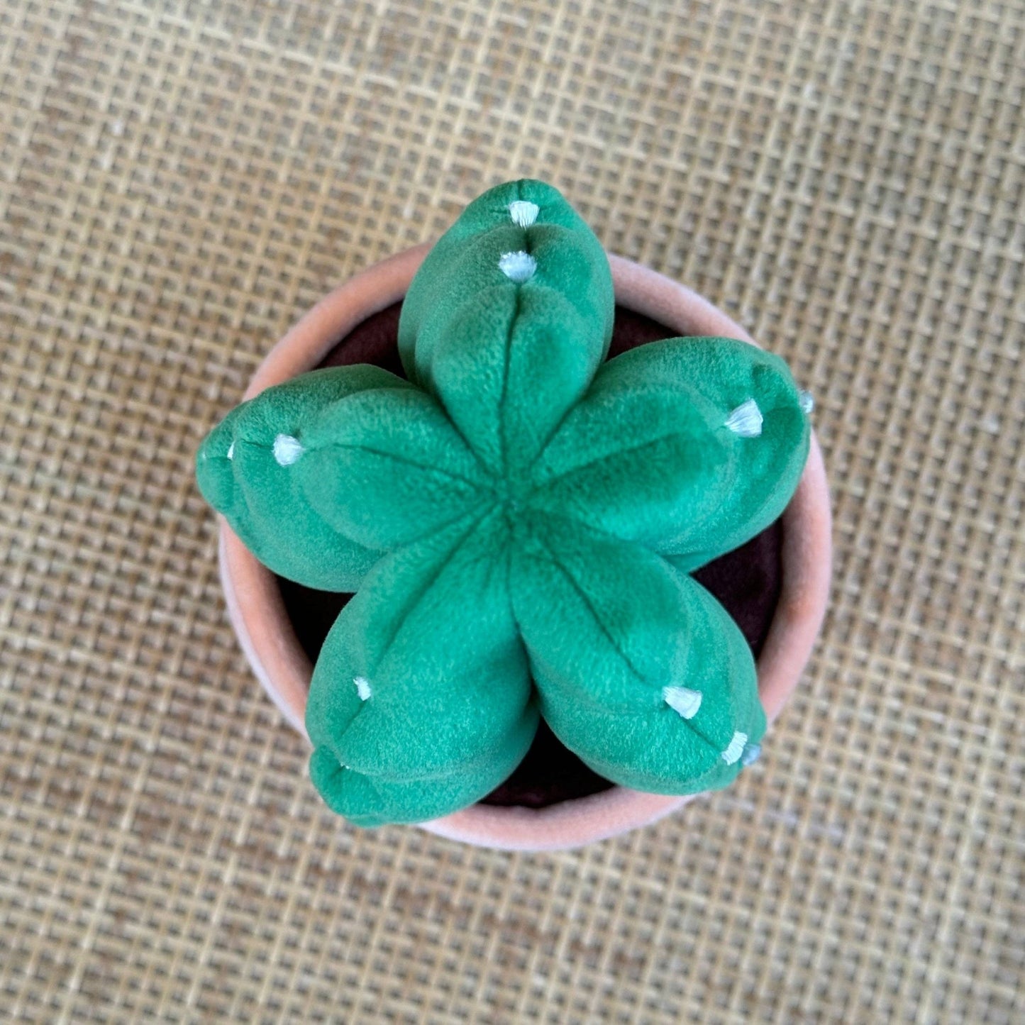 Cuddly Cactus Plushie - The Plant Lady SF