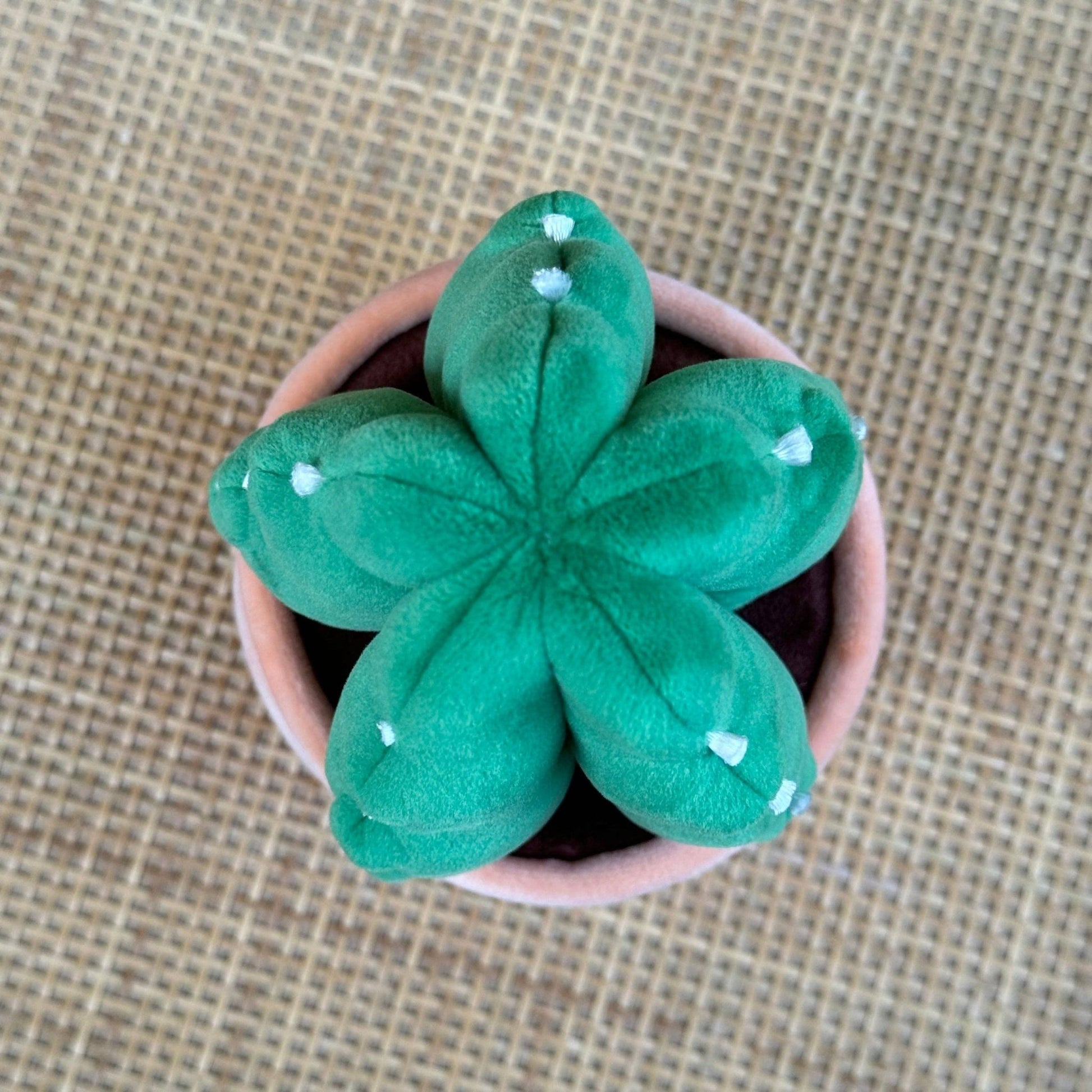 Cuddly Cactus Plushie - The Plant Lady SF
