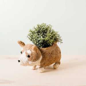 Corgi Planter