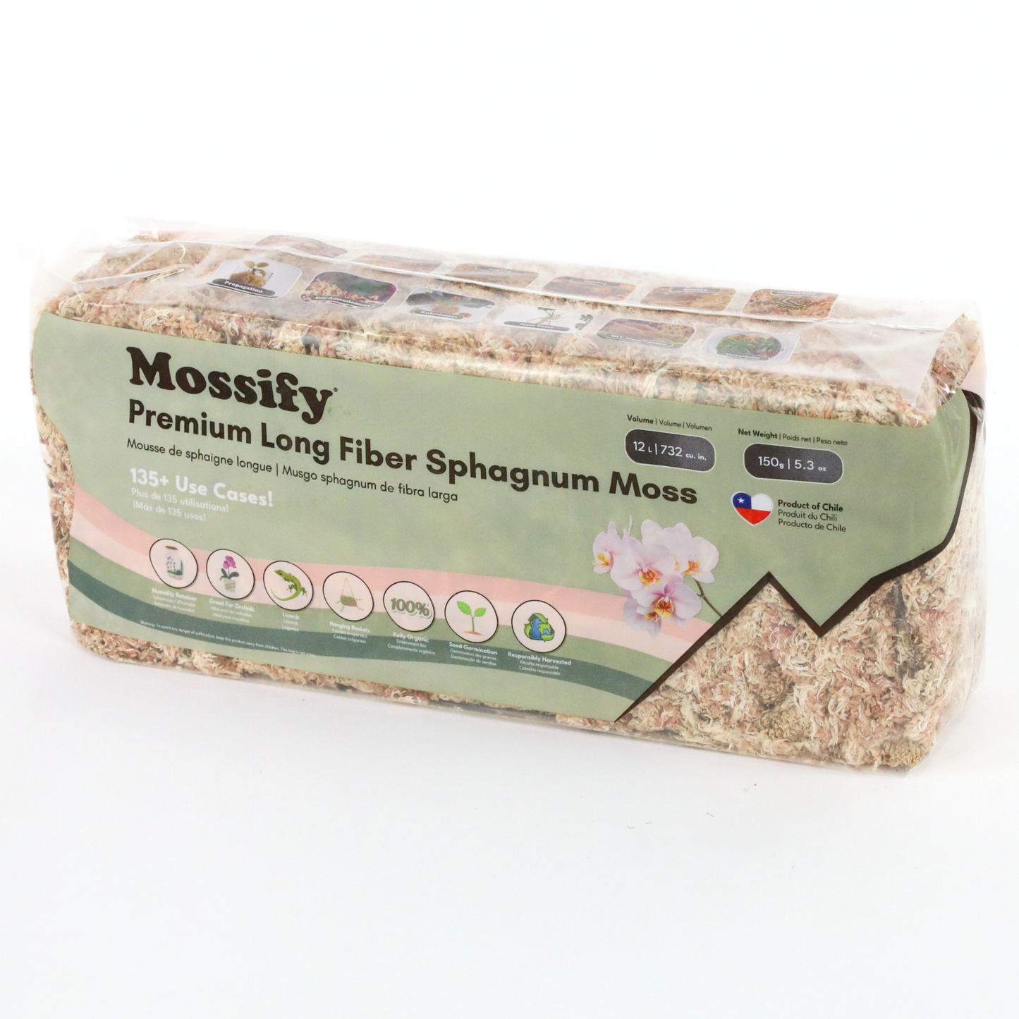 Premium Long Fiber Sphagnum Moss from Mossify - 150g