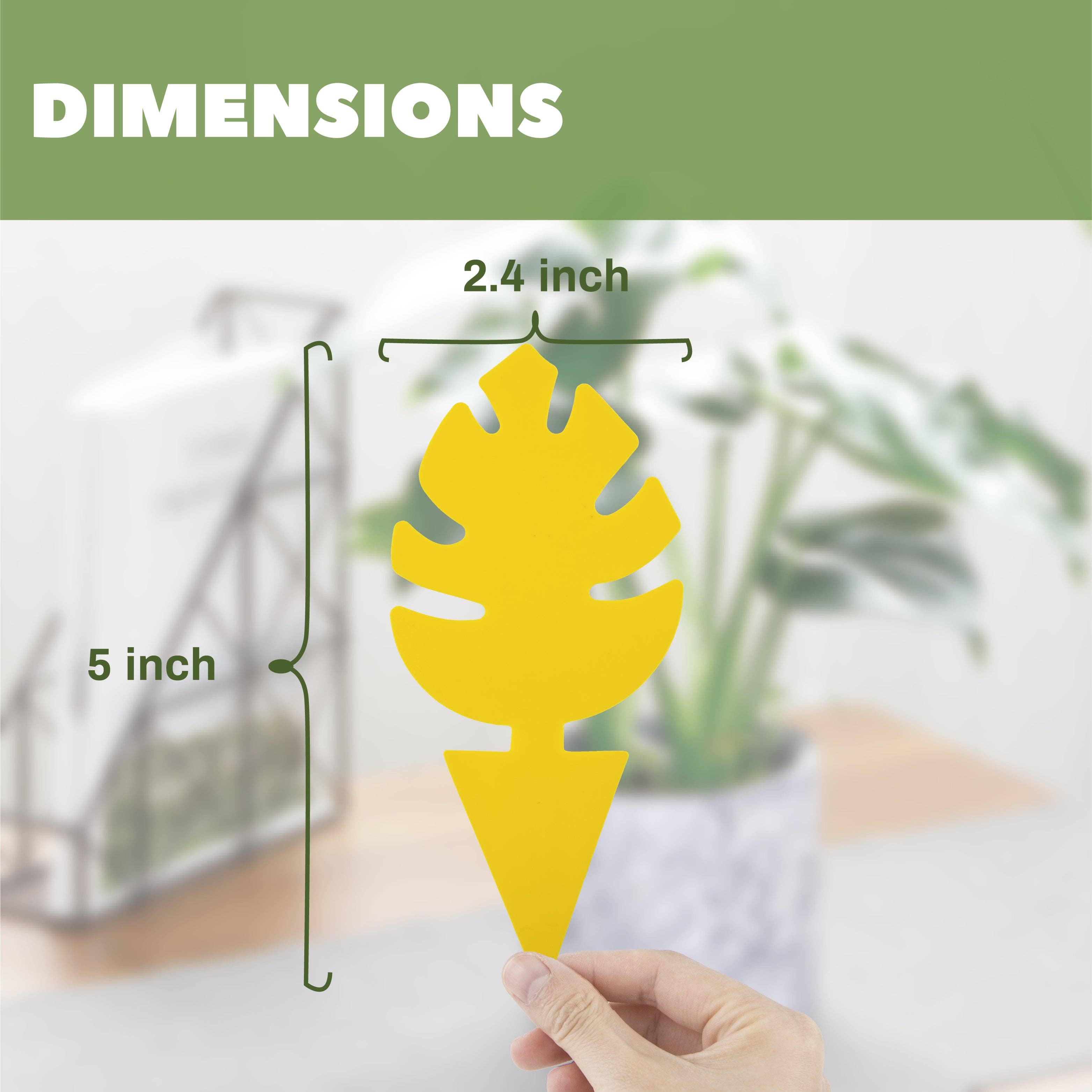 30 Pcs Per Pack Monstera Leaf Yellow Sticky Traps for Gnats