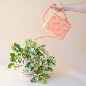 Breeze Block Watering Can | Peach