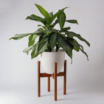 Load image into Gallery viewer, Adjustable Dark Bamboo Plant Stand
