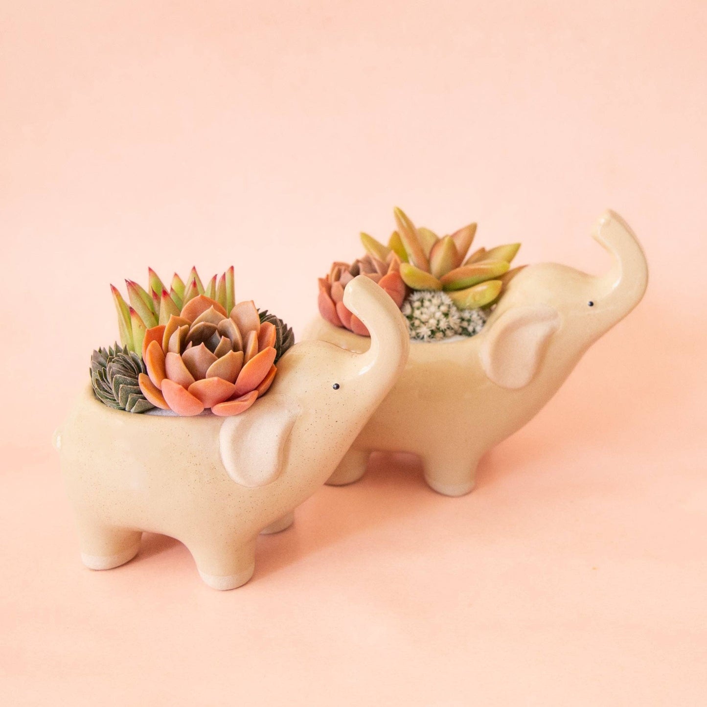 Elephant Planter | Sand - The Plant Lady SF
