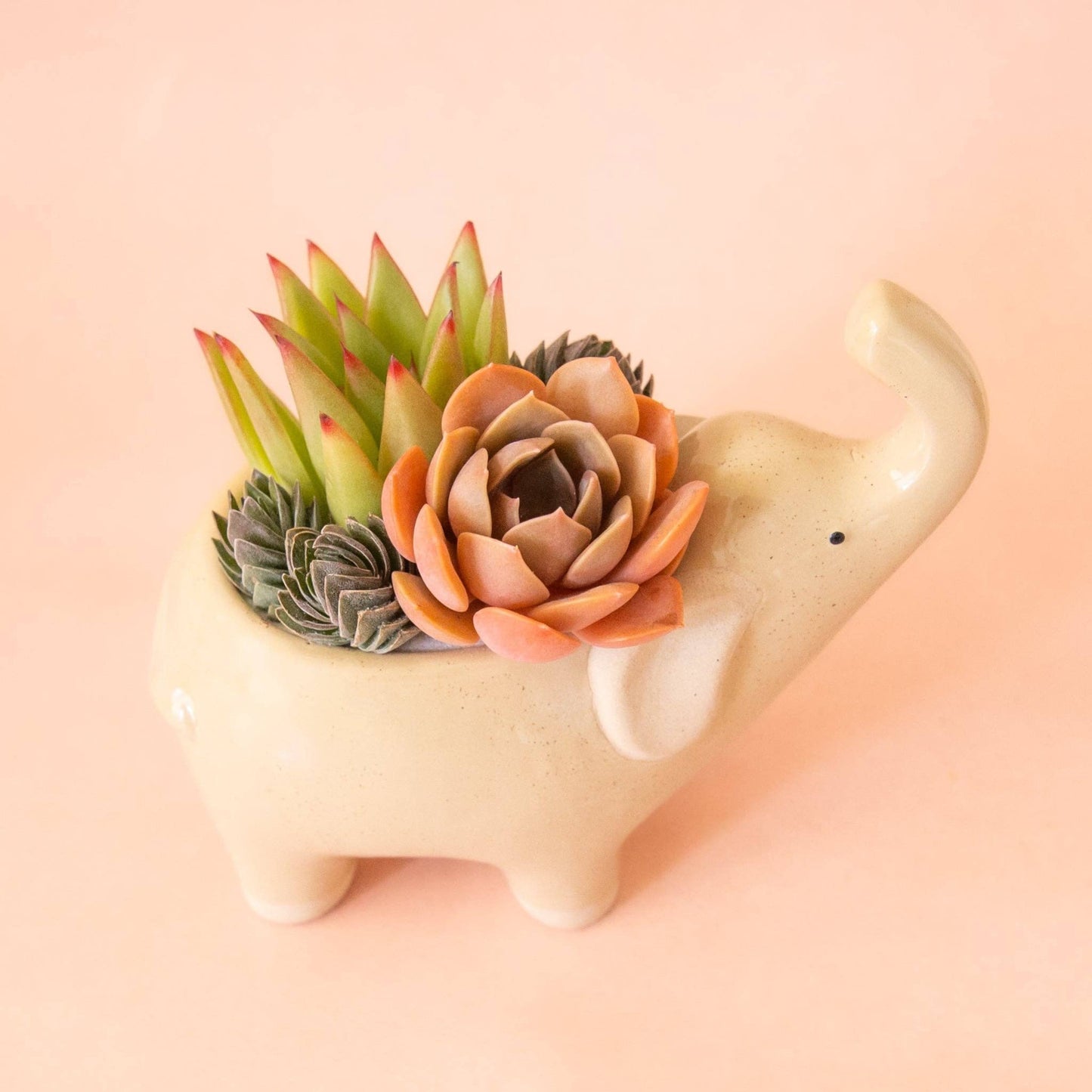 Elephant Planter | Sand - The Plant Lady SF