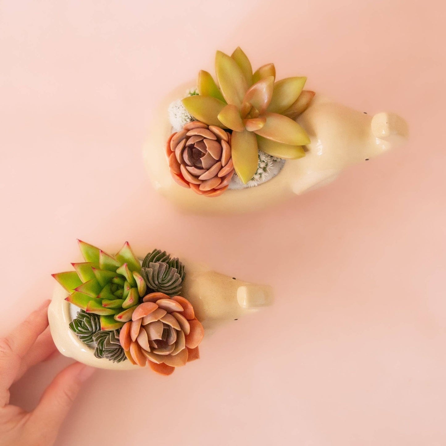 Elephant Planter | Sand - The Plant Lady SF