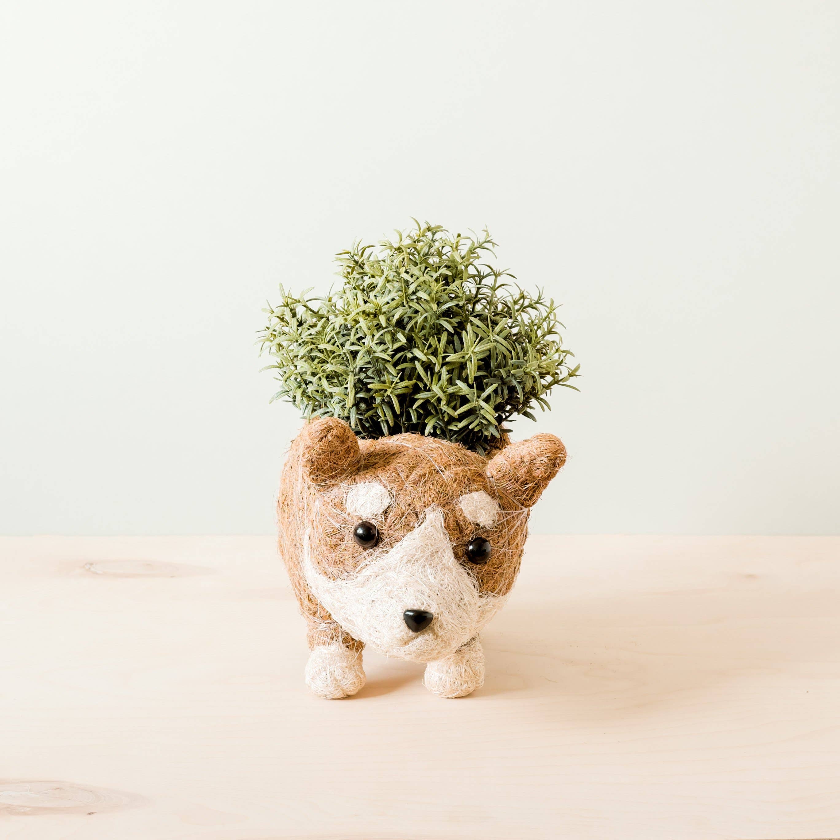 Corgi Pot - Handmade