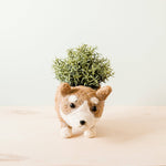 Load image into Gallery viewer, Corgi Pot - Handmade
