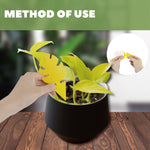 Load image into Gallery viewer, 30 Pcs Per Pack Monstera Leaf Yellow Sticky Traps for Gnats
