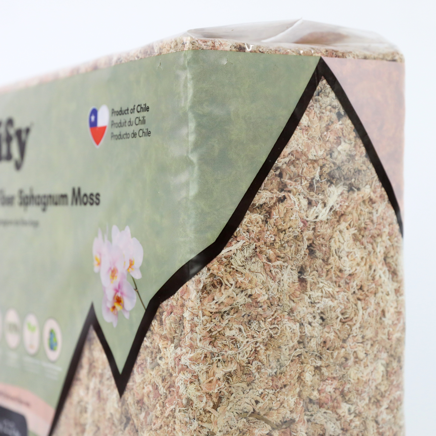 Premium Long Fiber Sphagnum Moss from Mossify - 150g