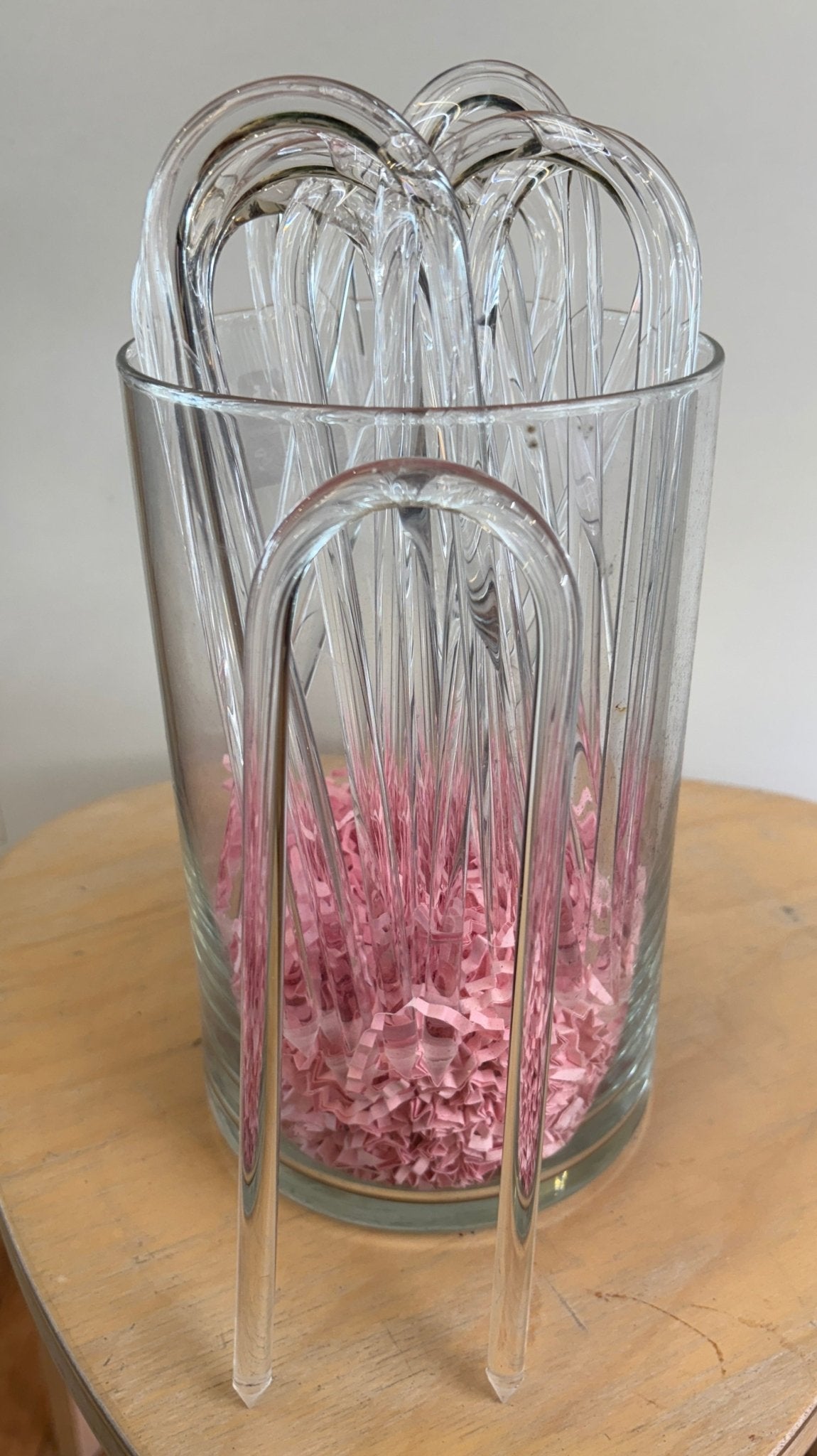 Glassvine Plant Support Hoop - The Plant Lady SF