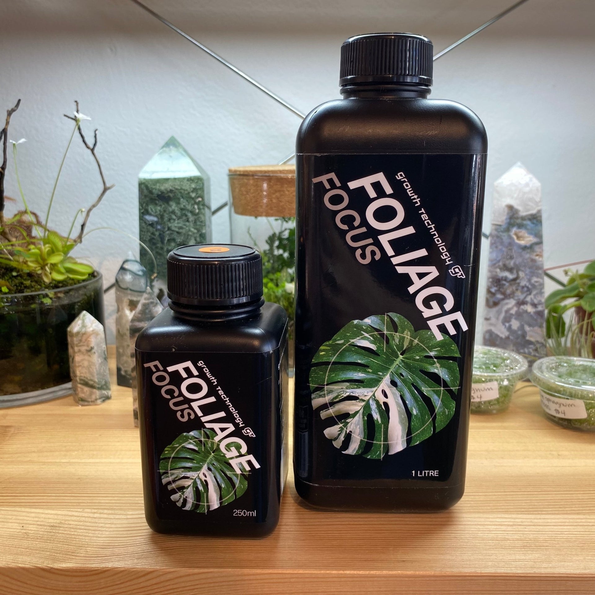 gt focus on foliage plant fertilizer GT: Foliage Focus Fertilizer