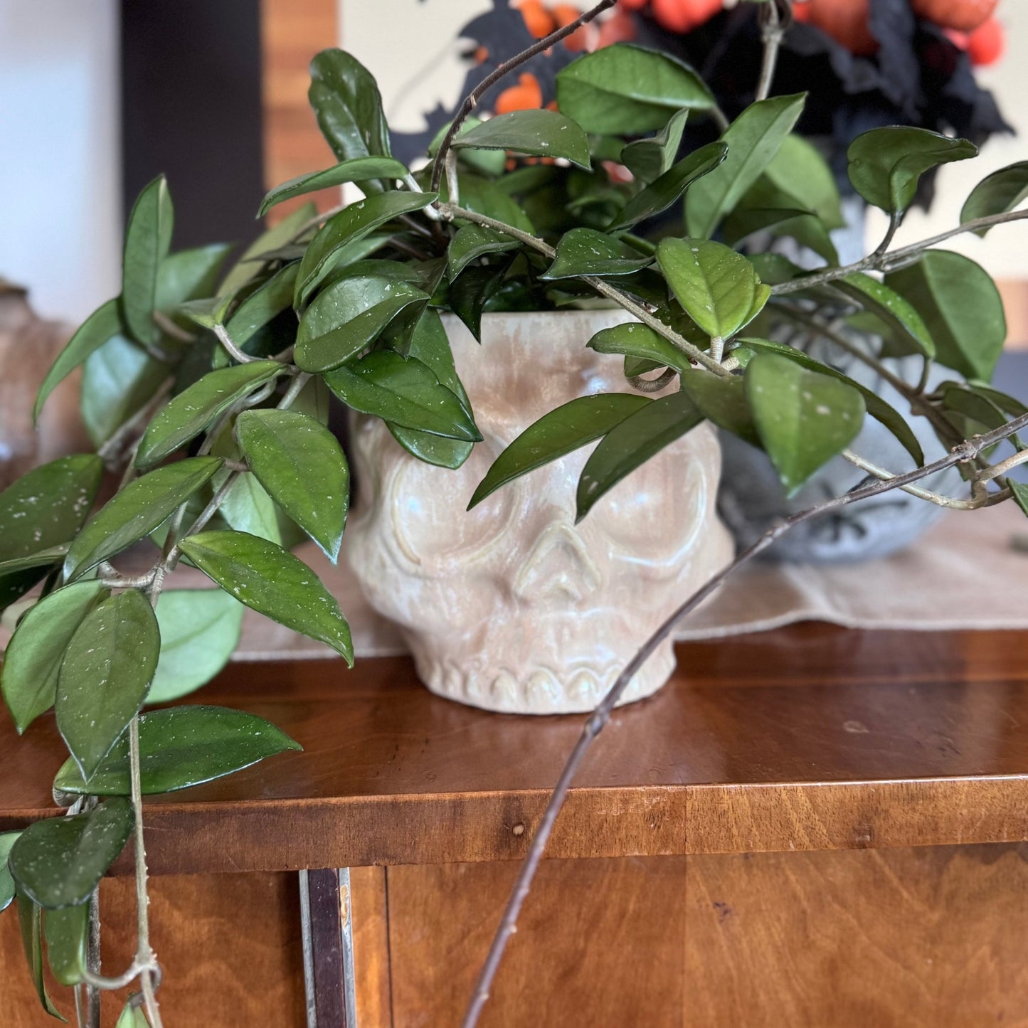 Haunting Skull Pot - The Plant Lady SF