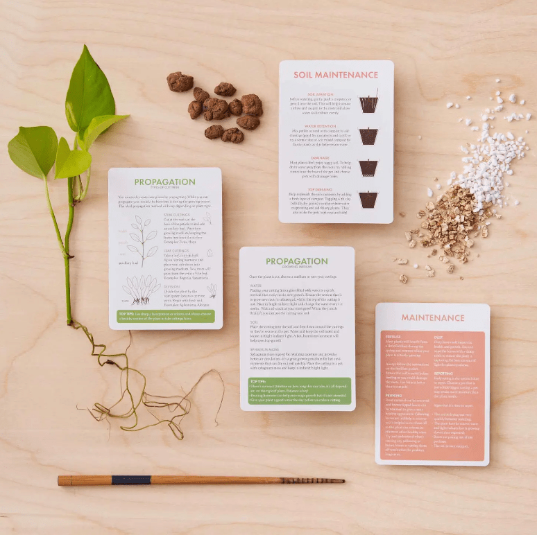 Houseplant Care Cards - The Plant Lady SF