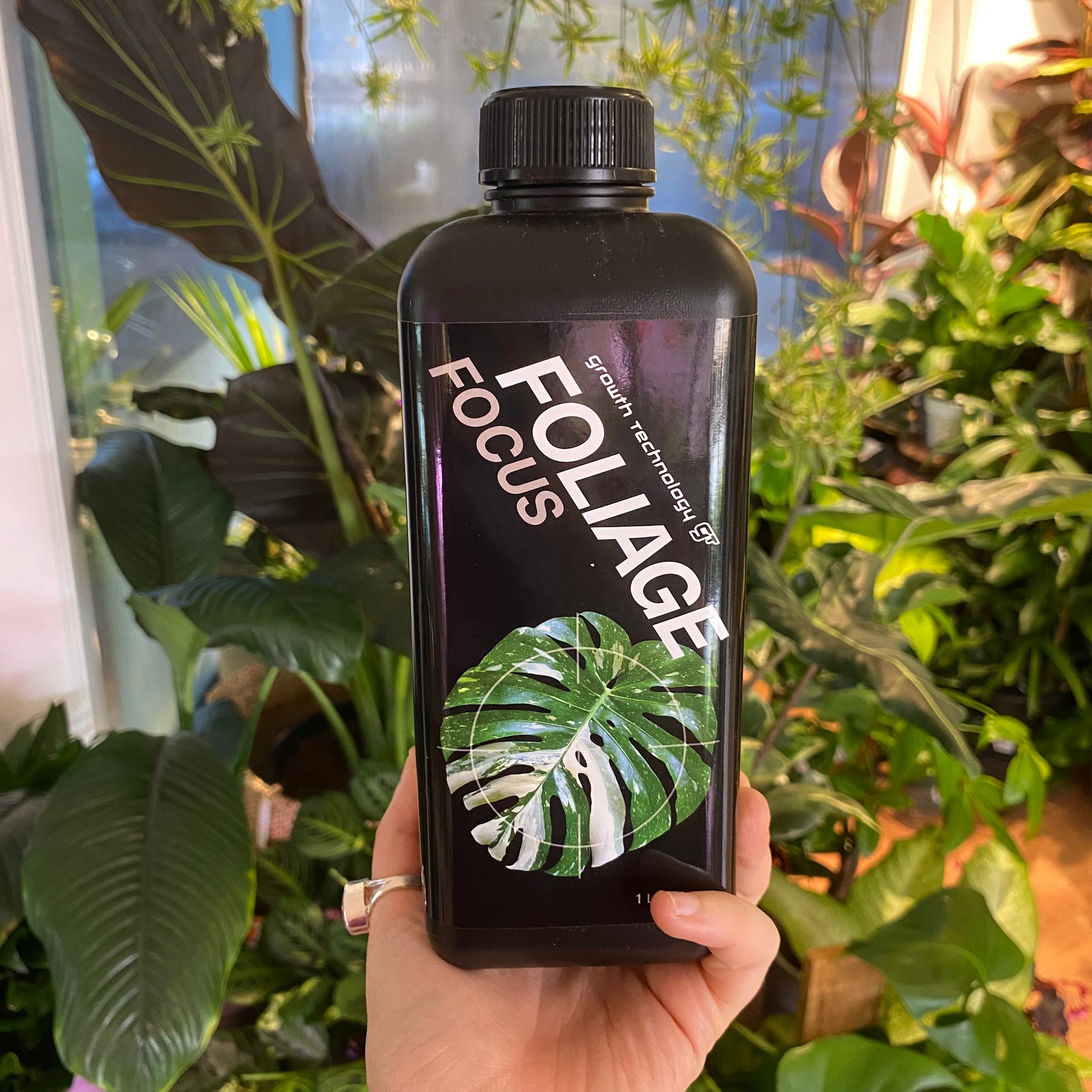 foliage plant fertilizer GT: Foliage Focus Fertilizer