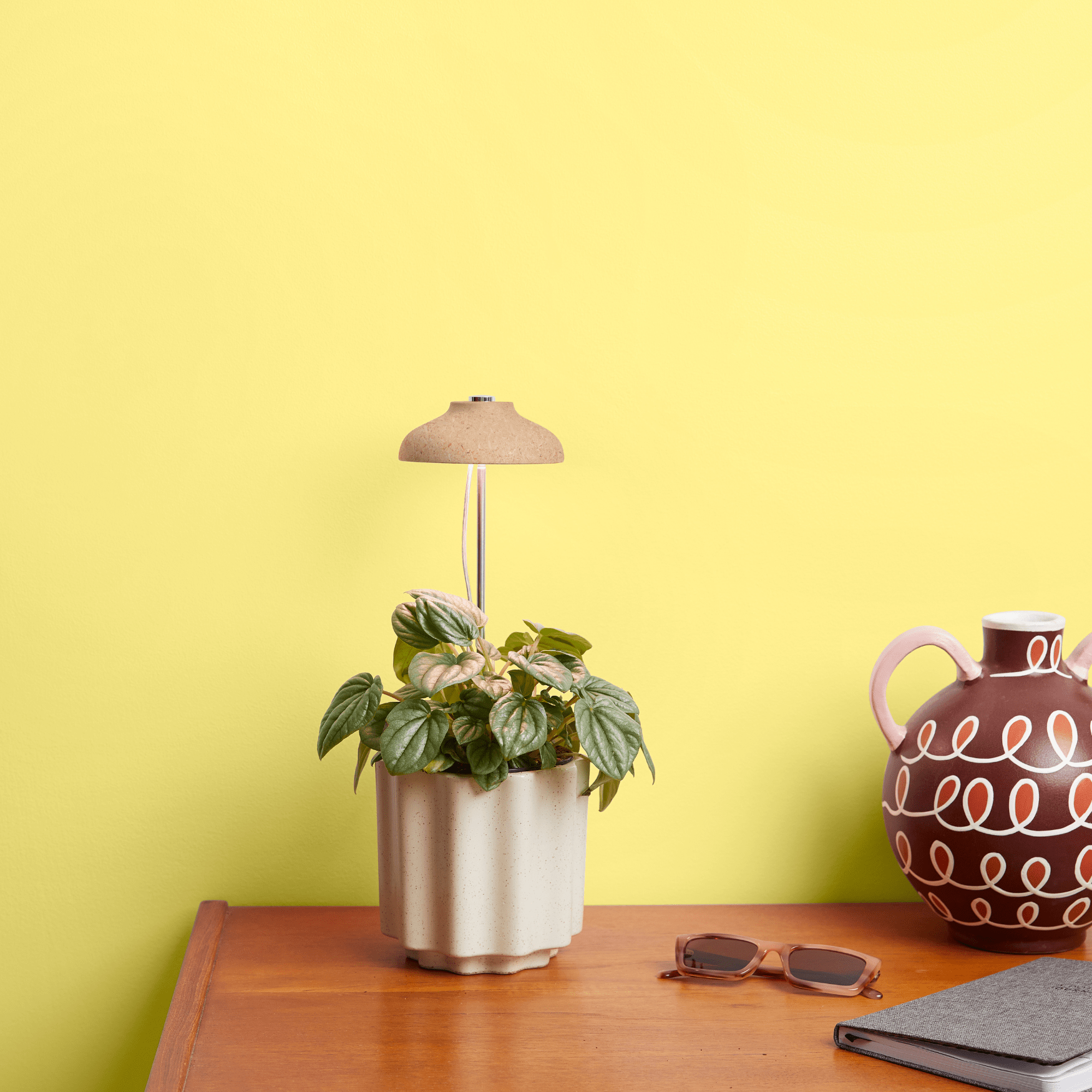 Instant Sun Extendable Grow Lamp - The Plant Lady SF