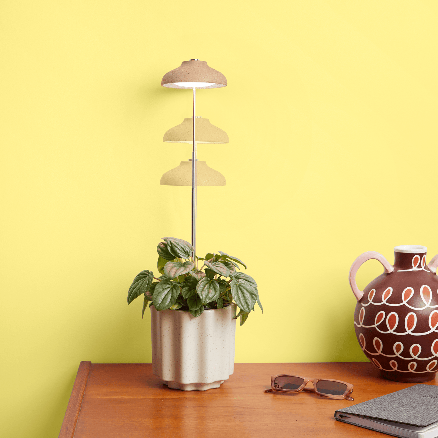 Instant Sun Extendable Grow Lamp - The Plant Lady SF