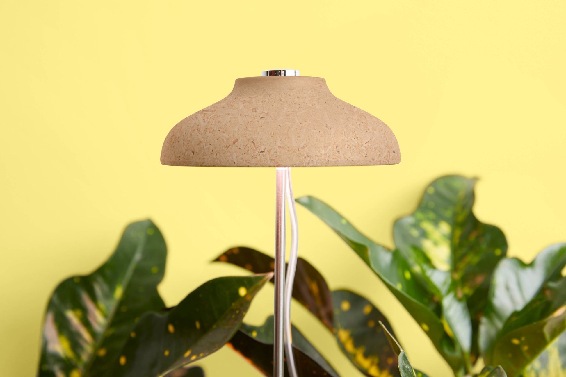 Instant Sun Extendable Grow Lamp - The Plant Lady SF