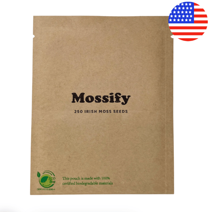 Irish Moss Seeds - The Plant Lady SF