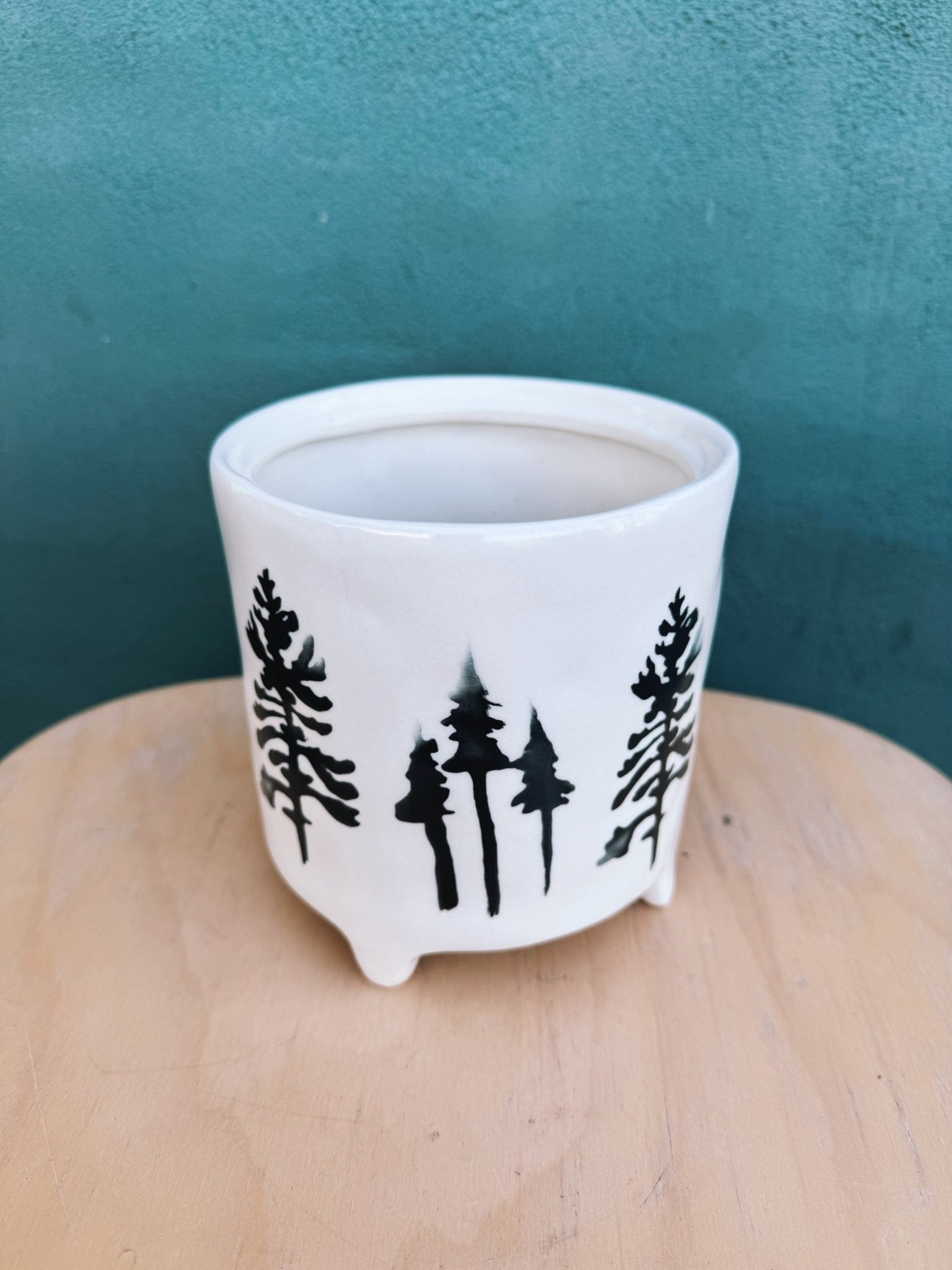 Kezia Pot - The Plant Lady SF