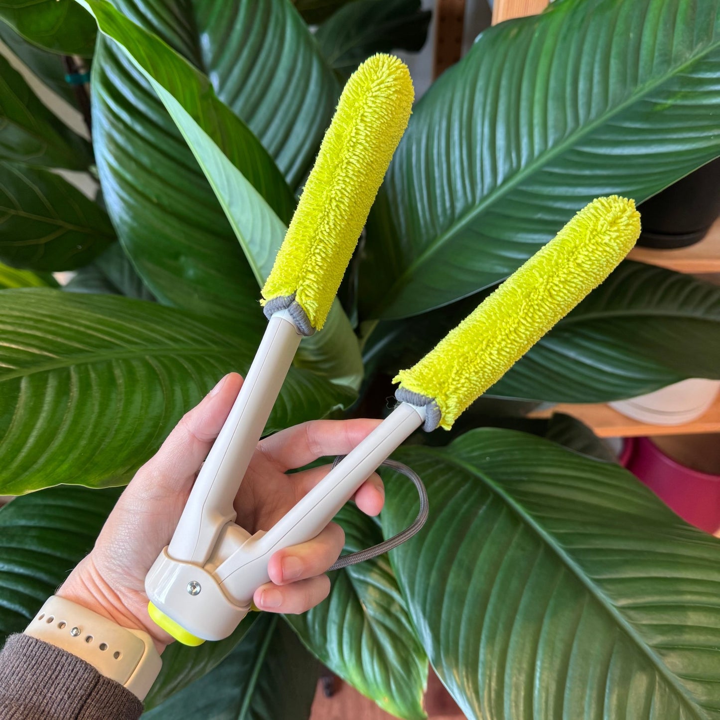 Leaf Sweep - The Plant Lady SF