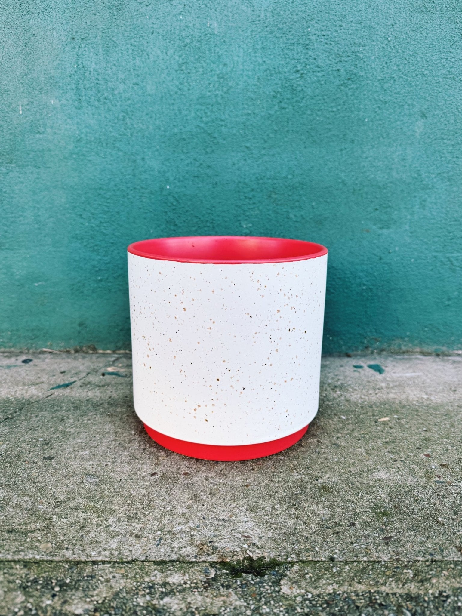 Leavenworth Pot - The Plant Lady SF