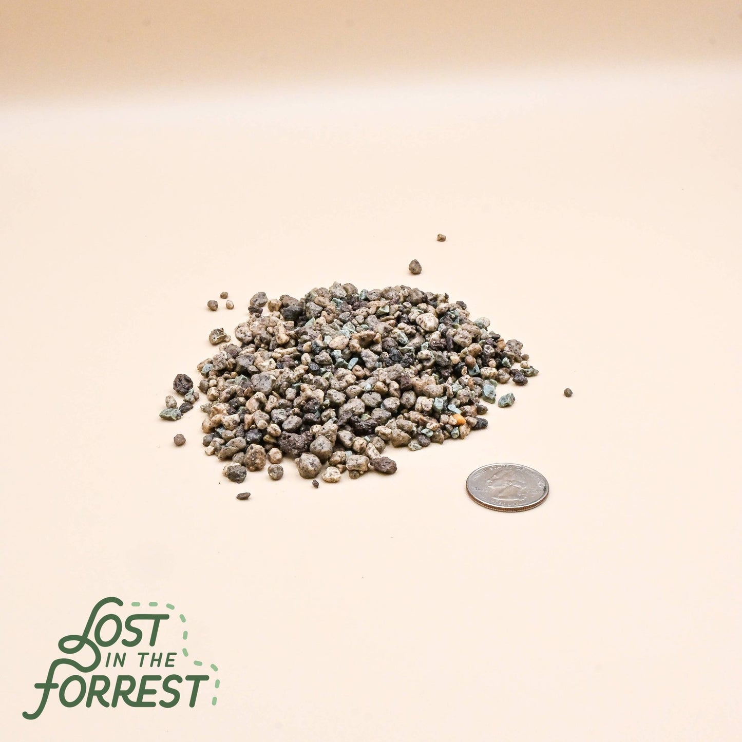 LECHUZA PON: Medium - The Plant Lady SF