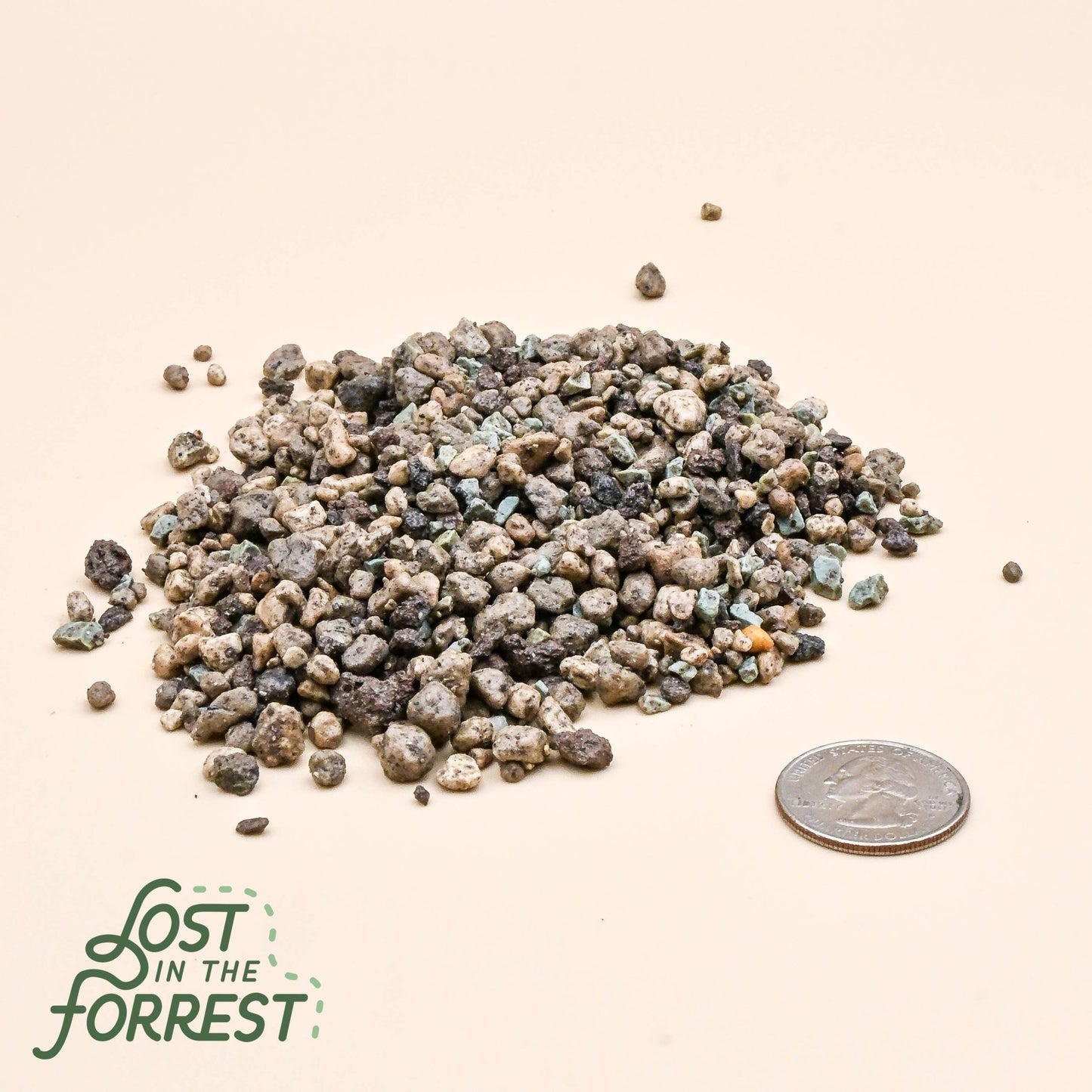 LECHUZA PON: Medium - The Plant Lady SF