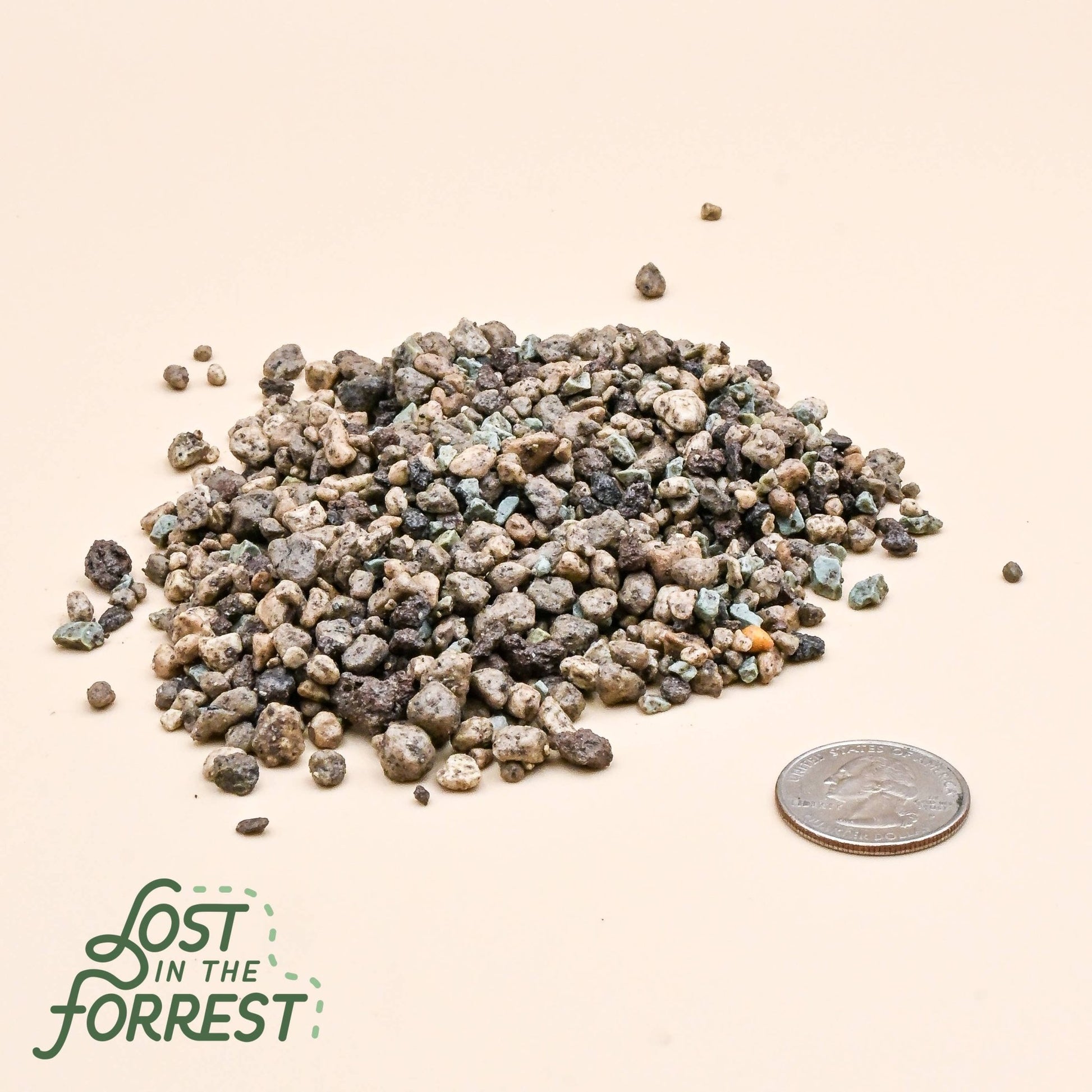 LECHUZA PON: Medium - The Plant Lady SF