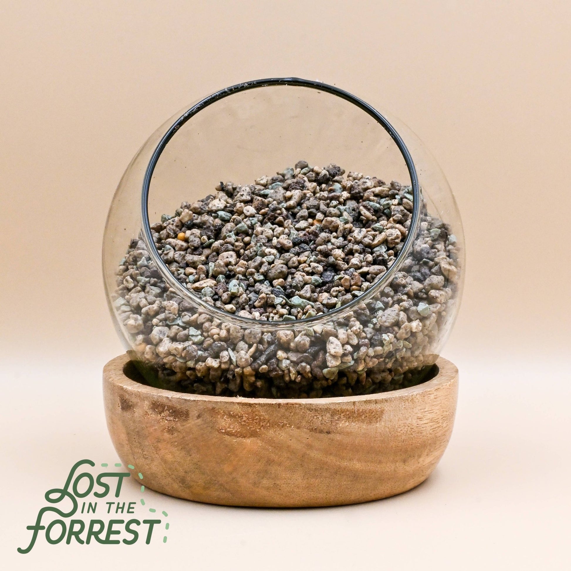 LECHUZA PON: Medium - The Plant Lady SF