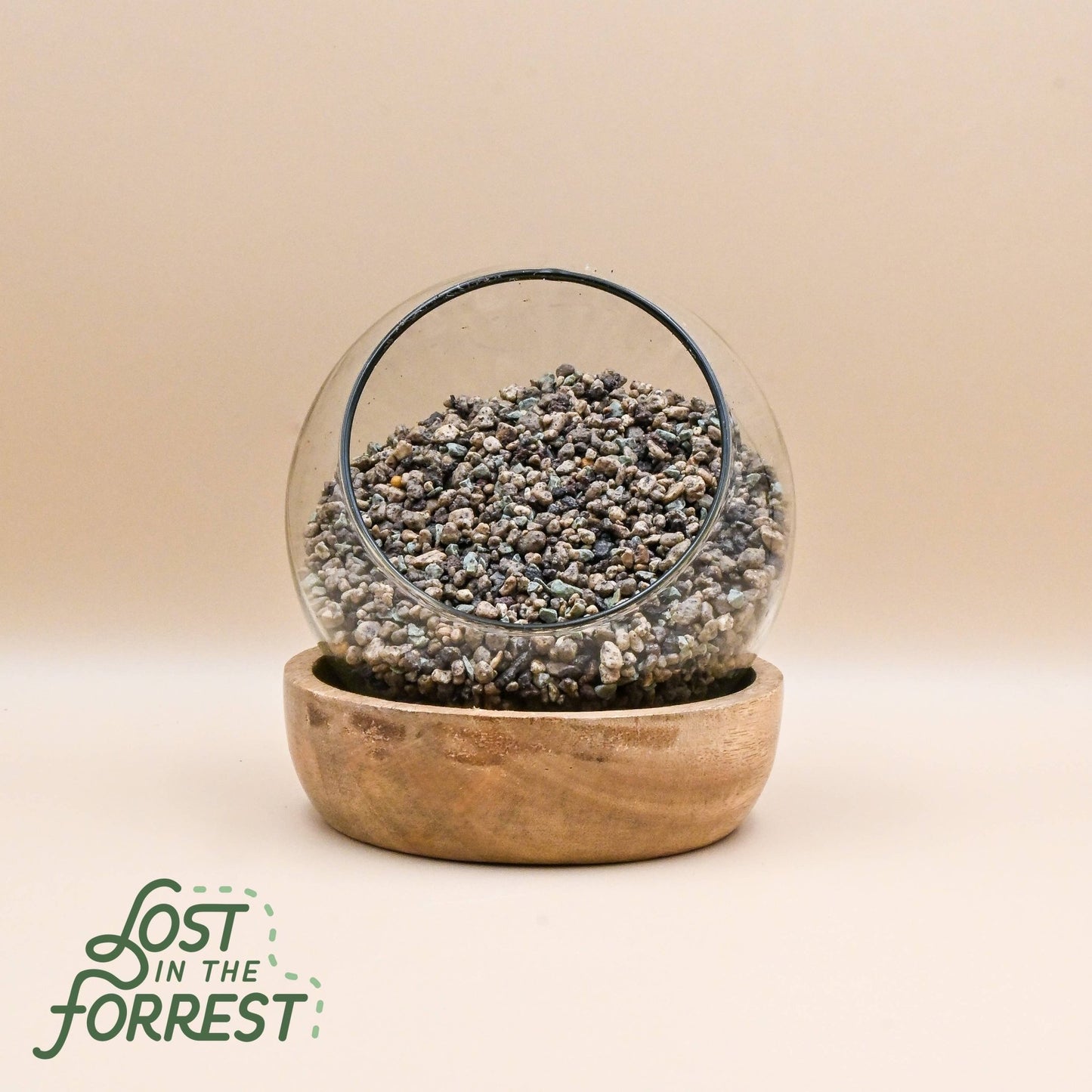 LECHUZA PON: Medium - The Plant Lady SF