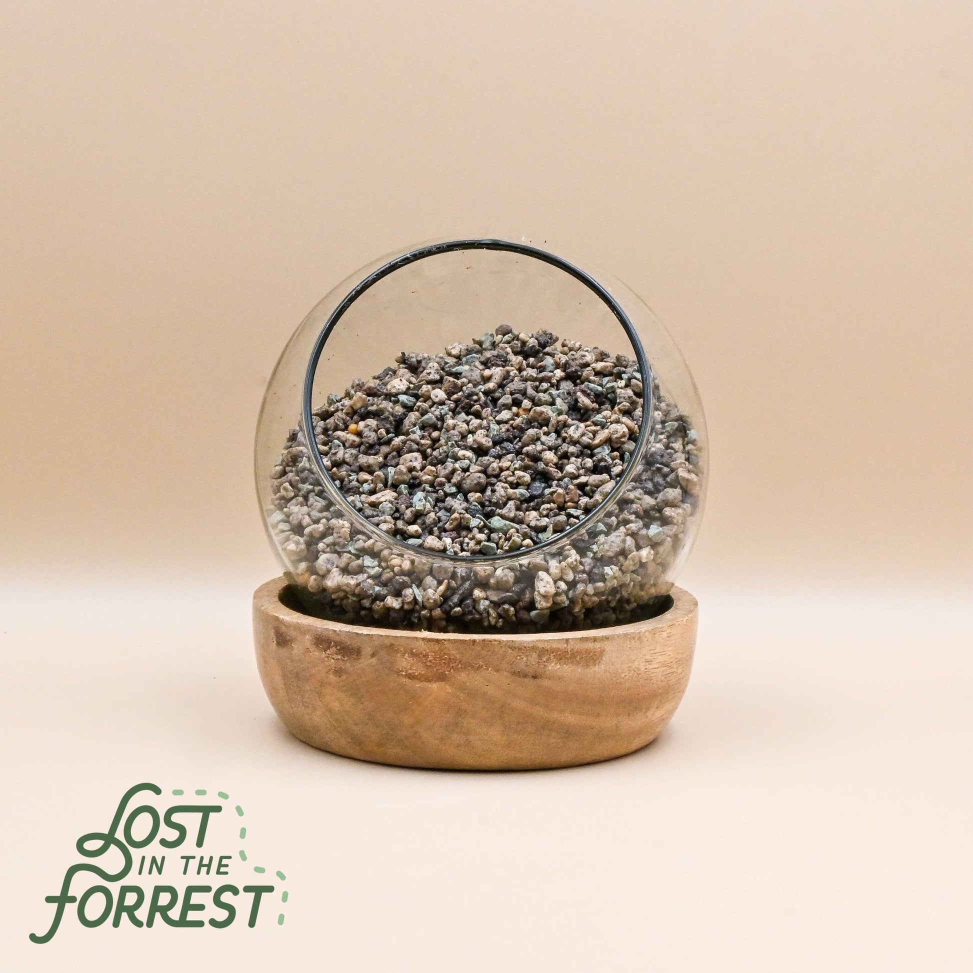 LECHUZA PON: Medium - The Plant Lady SF