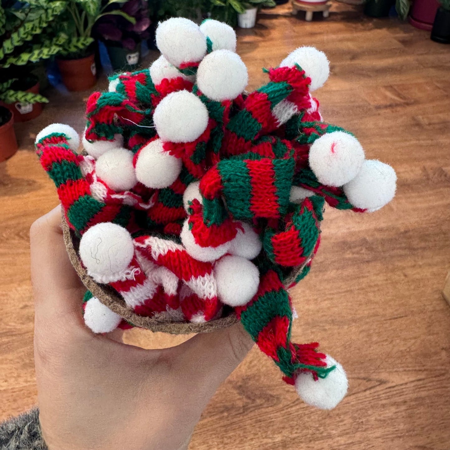 Mini Holiday Scarf - The Plant Lady SF