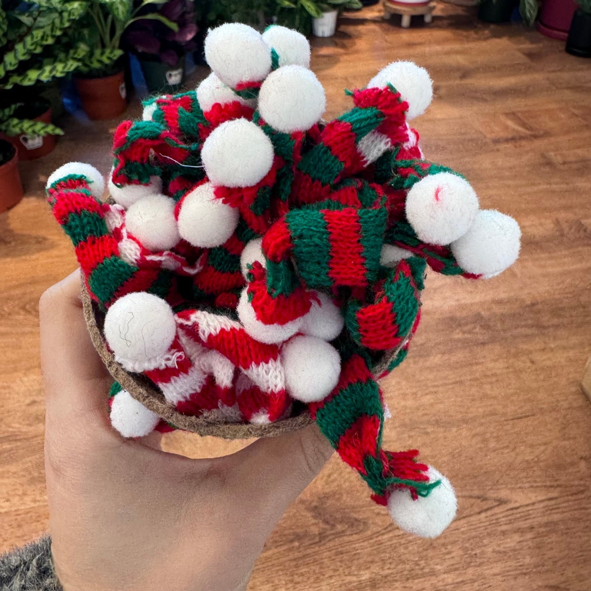 Mini Holiday Scarf - The Plant Lady SF