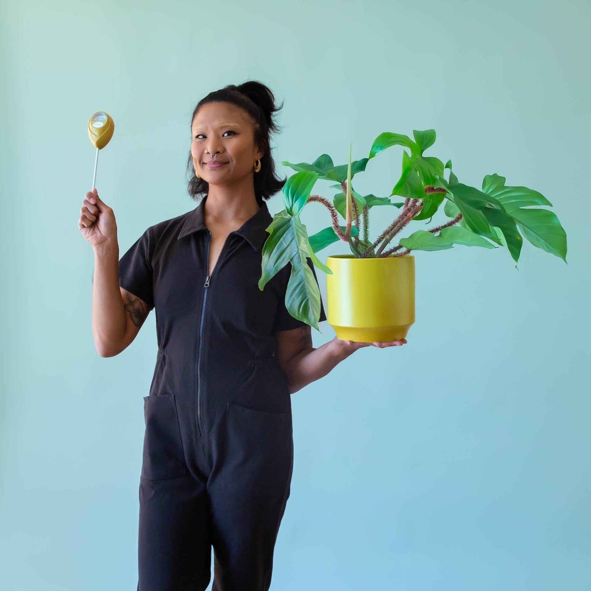 Moisture Meter - The Plant Lady SF