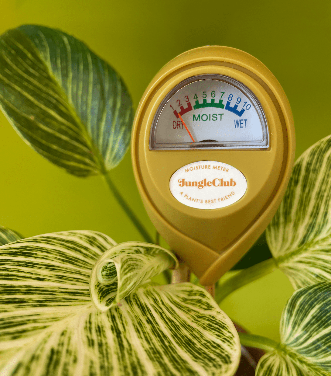 Moisture Meter - The Plant Lady SF