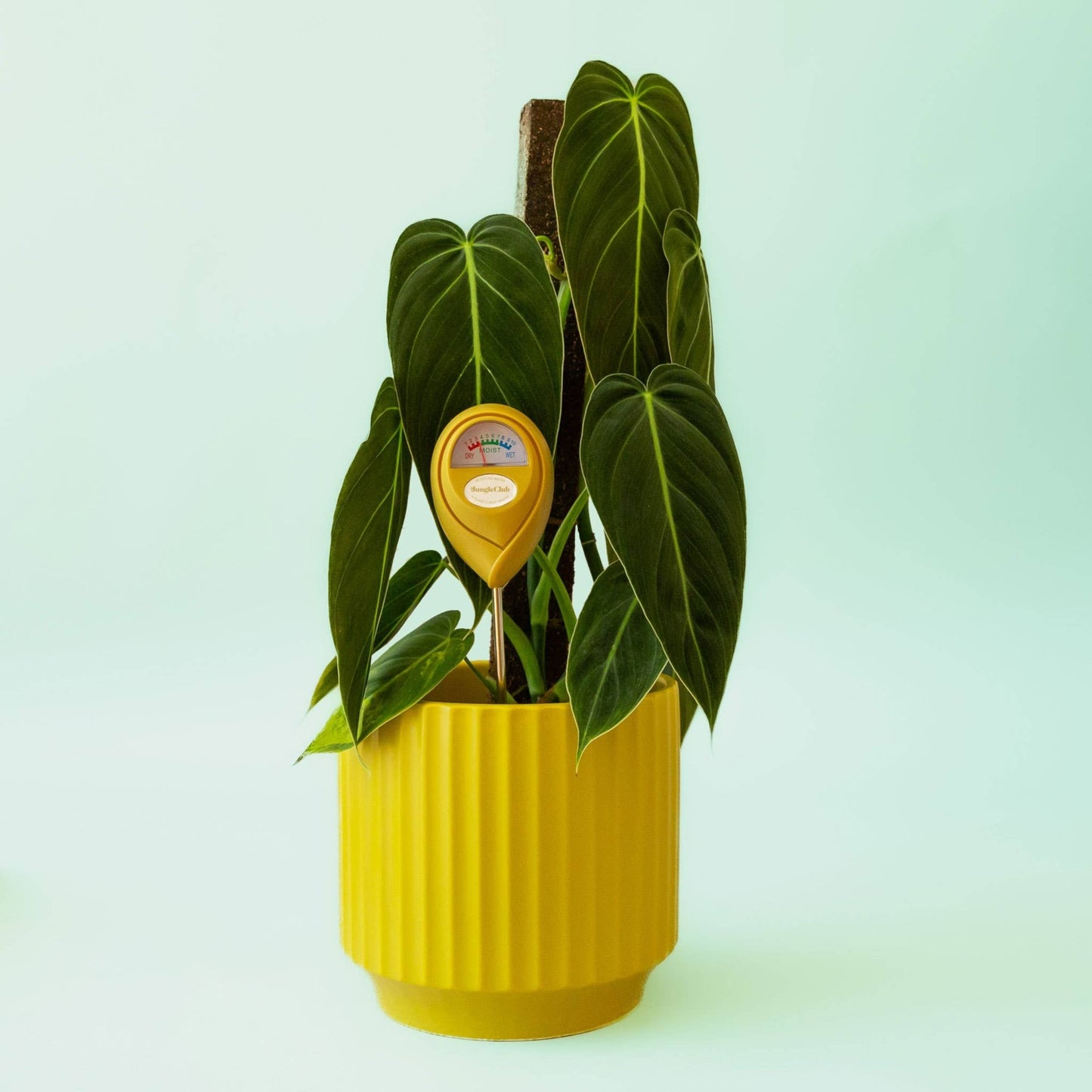 Moisture Meter - The Plant Lady SF