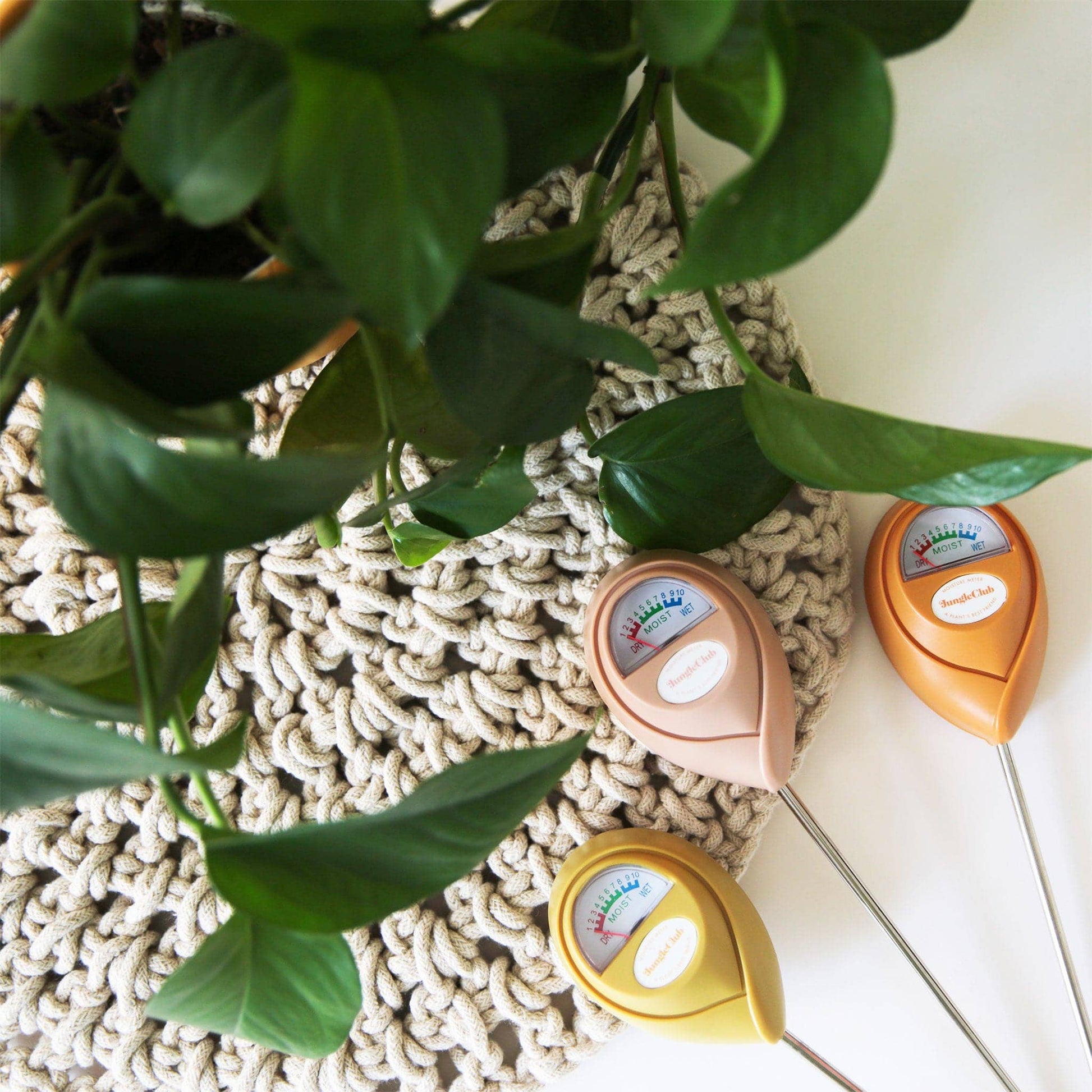 Moisture Meter - The Plant Lady SF