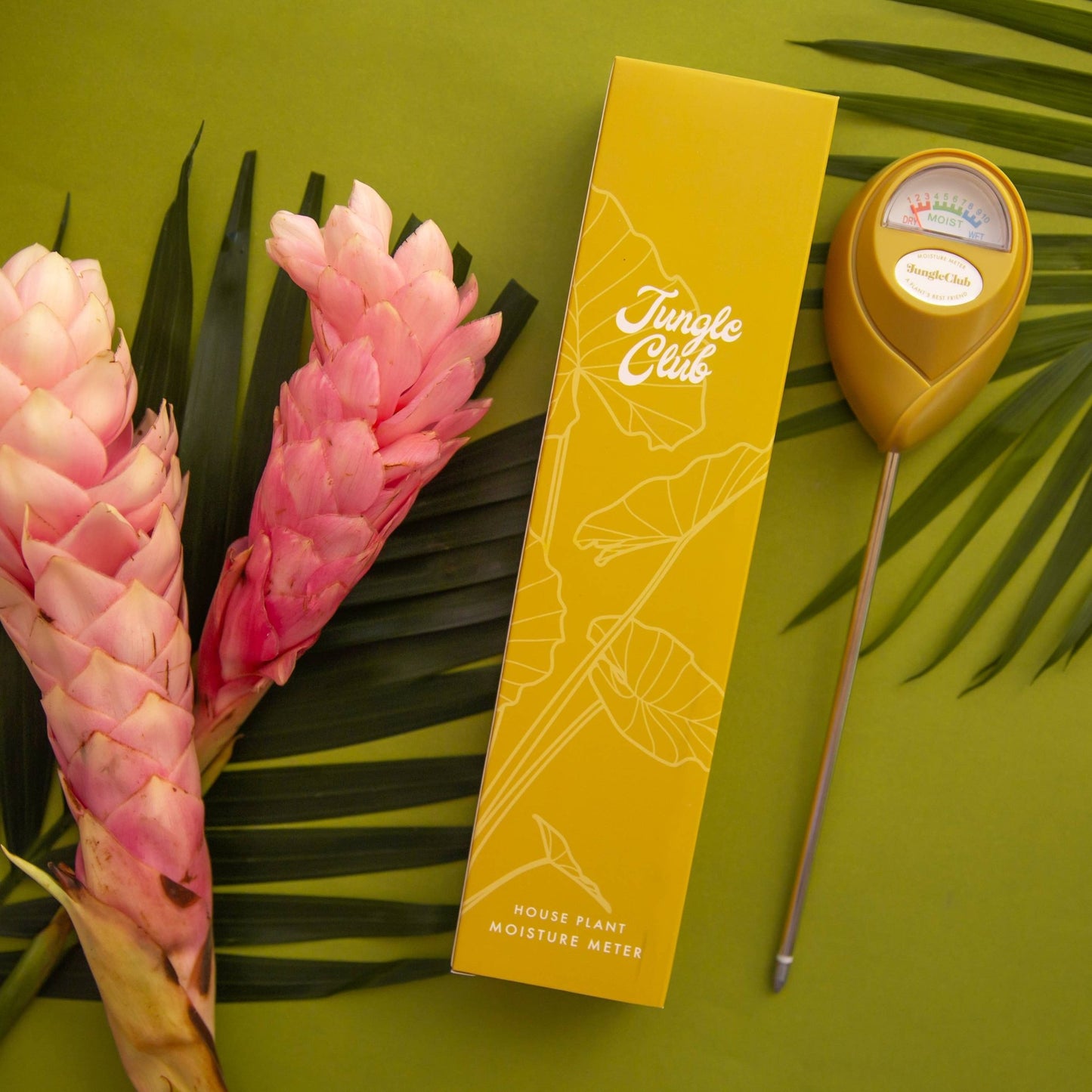 Moisture Meter - The Plant Lady SF