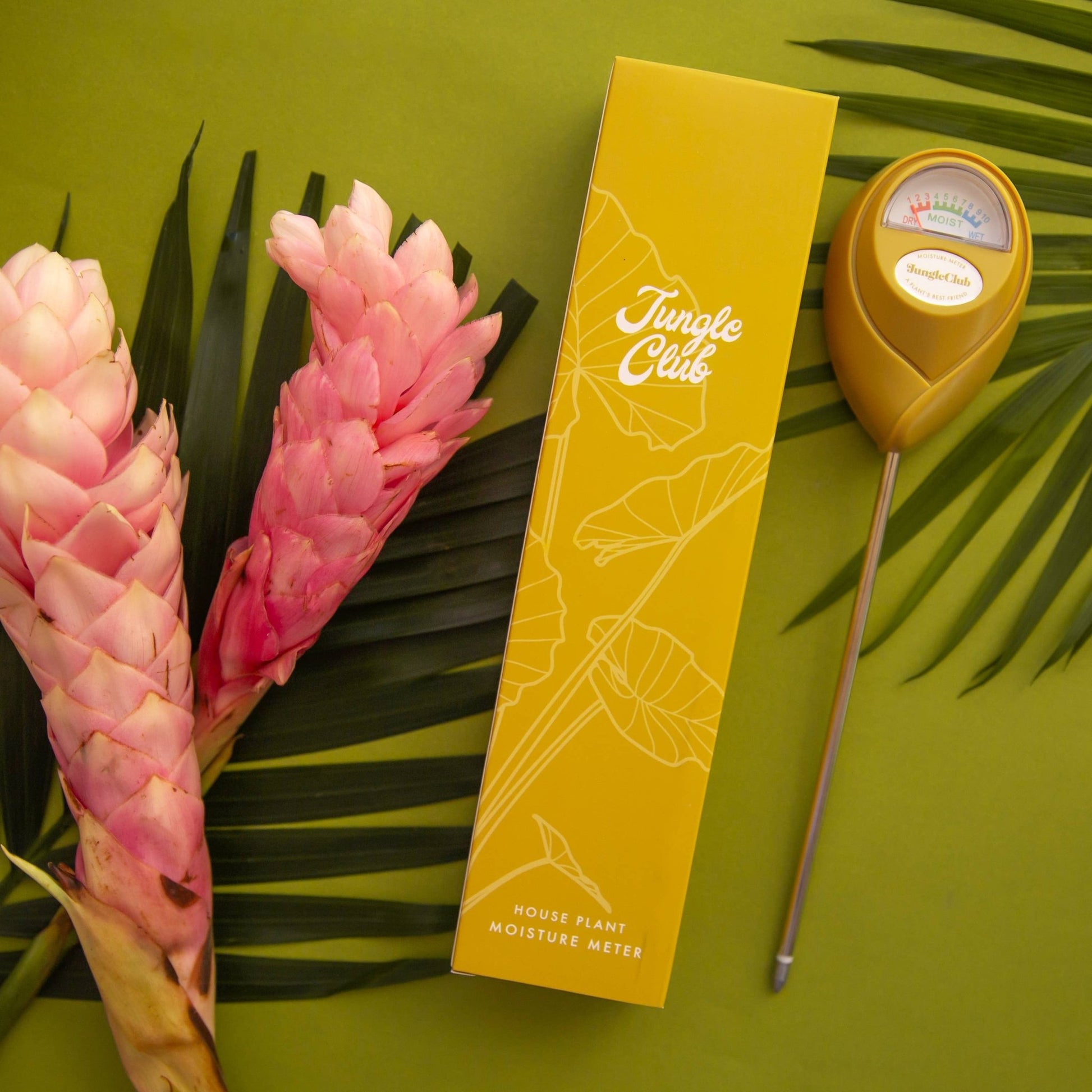 Moisture Meter - The Plant Lady SF