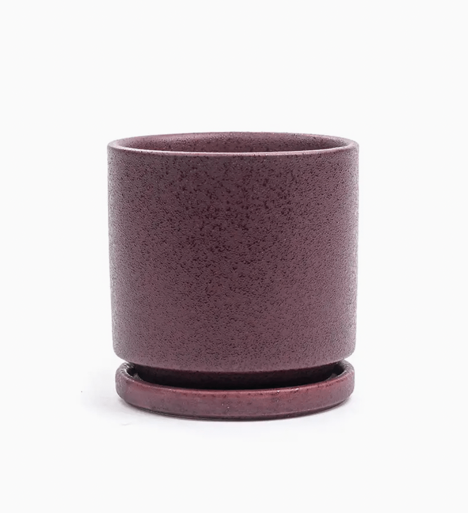 Momma Pots - 10.5" - The Plant Lady SF