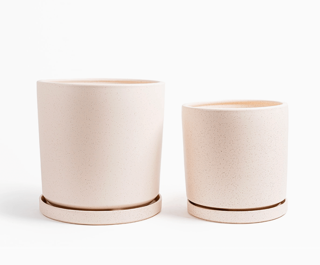 Momma Pots - 10.5" - The Plant Lady SF