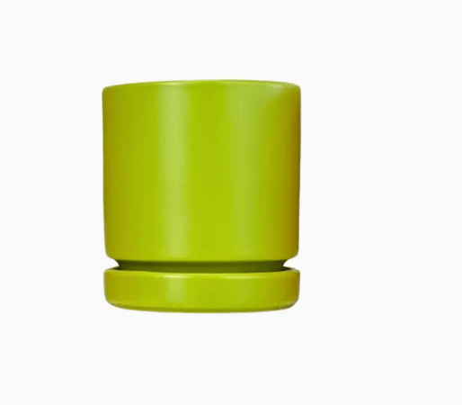 Momma Pots - 10.5" - The Plant Lady SF