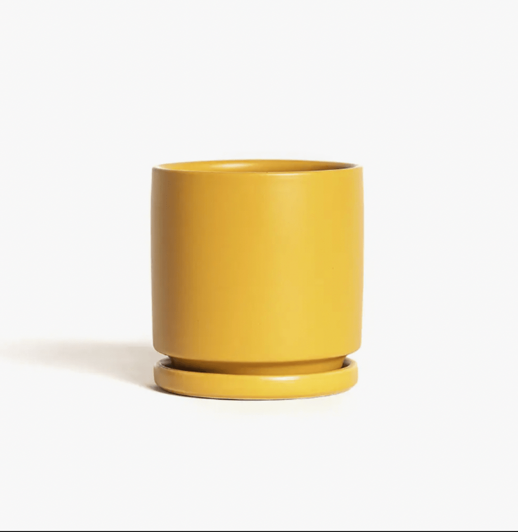 Momma Pots - 10.5" - The Plant Lady SF