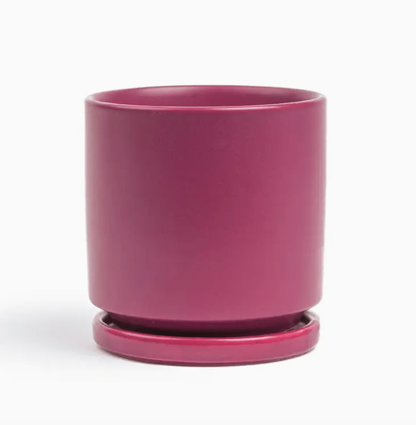 Momma Pots - 10.5" - The Plant Lady SF