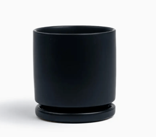 Momma Pots - 10.5" - The Plant Lady SF