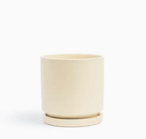 Momma Pots - 10.5" - The Plant Lady SF