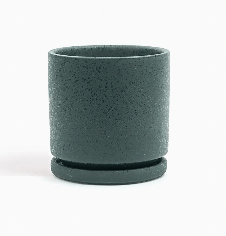 Momma Pots - 10.5" - The Plant Lady SF